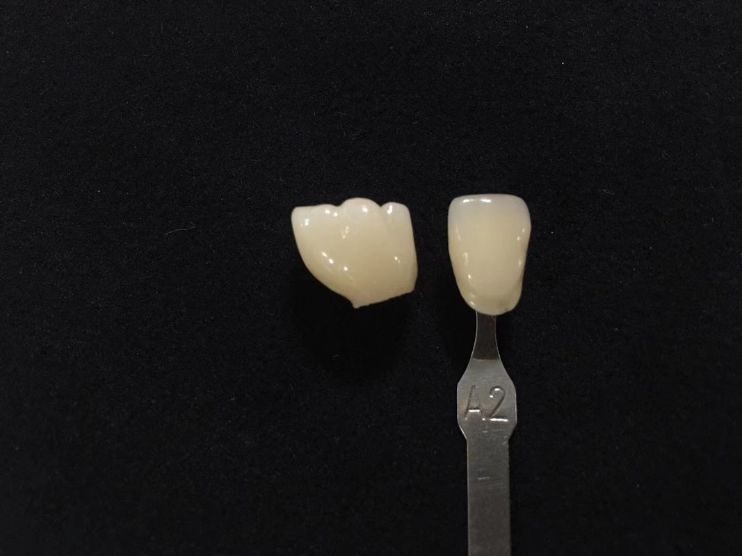 Dental Consumable Dental Zirconia Block Price 3d Plus Zirconia Dental Block Ceramic for Cad Cam