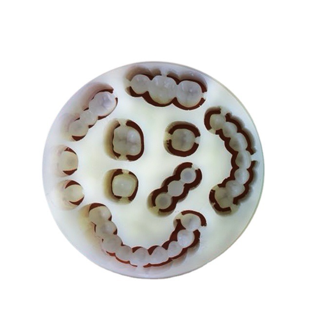 Güvenilir ve Yüksek Kaliteli Diş Protez Üretimi için Yucera Dayanıklı Diş Tek Katmanlı PMMA